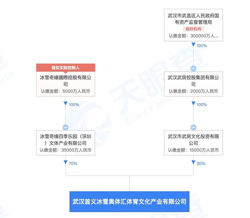 武漢首義冰雪奧體匯 冰雪奇緣四季樂園與人工智能服務的創新融合